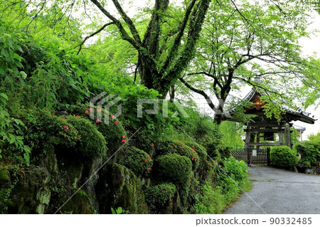 漫步池田山腳下（有谷山遊格寺）·1（岐阜縣伊美區池田町） 90332485