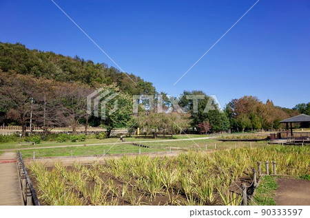 Kitayama Park (Higashimurayama City, Tokyo) 90333597