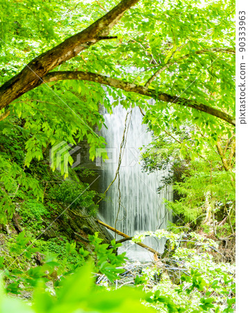 初夏清新的風景,神奈川縣道70號線的清流 初夏清新的風景,神奈川縣道70號線的清流 90333963