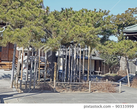 南藏院(葛飾) 南藏院(葛飾) 90333999
