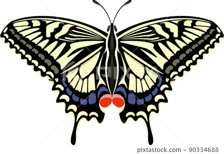Swallowtail butterfly with beautiful wings spread - Stock