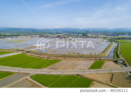 Plain rice fields and green wheat fields overlooking Mt. Haku 90336111