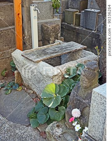 定觀寺（荒川） 90336264