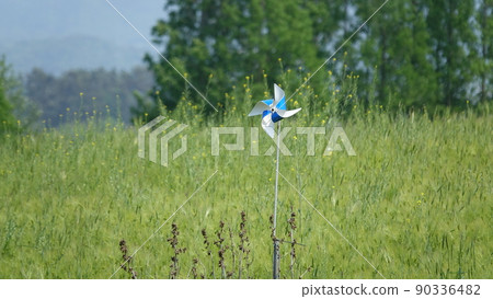 Gochang Blue Barley Field Gochang Blue Barley Field 90336482
