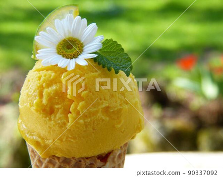 冰夏薄荷 90337092