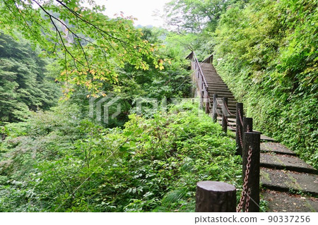 Naruko gorge Naruko gorge 90337256