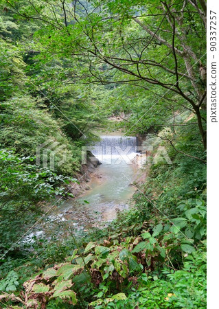 Naruko gorge Naruko gorge 90337257