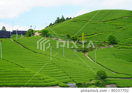 京都府景觀資產、和塚町石寺區、新鮮綠茶農場 90337702