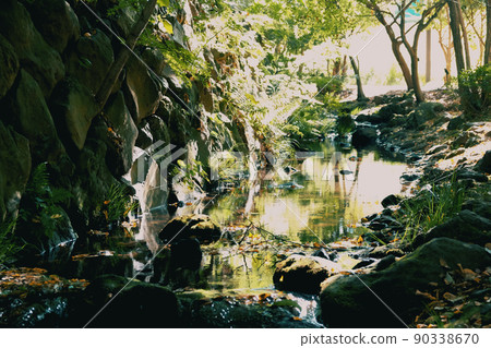 A stream flowing through the green space A stream flowing through the green space 90338670