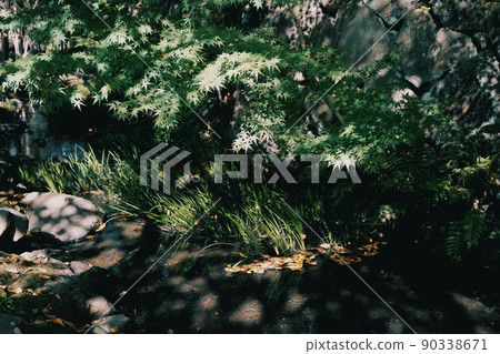 陽光流穿過太陽 90338671