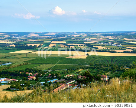 A view of the agricultural landscape of South Moravia around Mikulov. Fields and vineyard under blue summer sky. Suitable for tourist advertising. A view of the agricultural landscape of South Moravia around Mikulov. Fields and vineyard under blue summer sky. Suitable for tourist advertising. 90339081