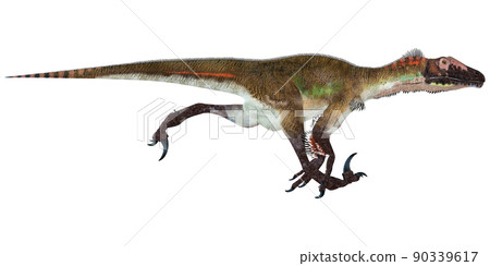 猶他盜龍 ☆ 猶他盜龍 90339617