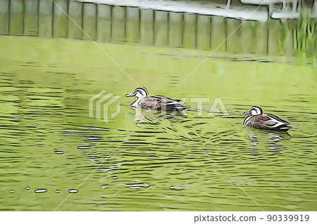 Park with spot-billed ducks 90339919
