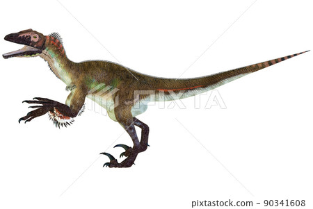 Utahraptor ☆ Utahraptor 90341608