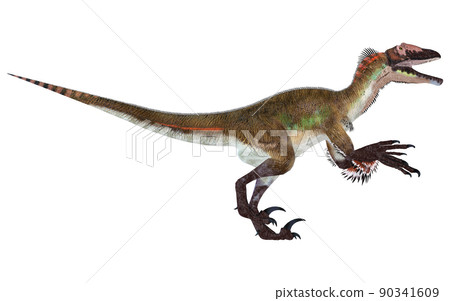 Utahraptor ☆ Utahraptor Utahraptor ☆ Utahraptor 90341609