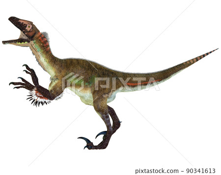 猶他盜龍 ☆ 猶他盜龍 猶他盜龍 ☆ 猶他盜龍 90341613