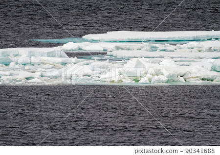 Antarctica - Non-Tabular Iceberg 90341688