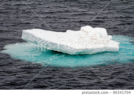 Antarctica - Non-Tabular Iceberg 90341704