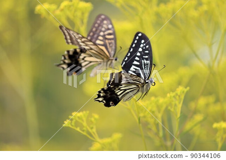Swallowtail butterfly flying with two animals 90344106