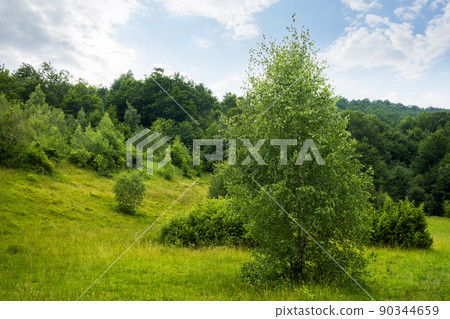 green nature landscape in summer. trees on the grassy hills and meadows. bright sky with clouds. beautiful environment background green nature landscape in summer. trees on the grassy hills and meadows. bright sky with clouds. beautiful environment background 90344659