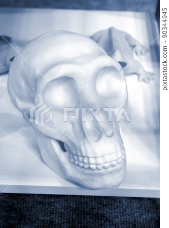 Human skull printed on 3D printer from plastic close-up. New 3D printing technology. Concept modern new progressive additive technology. 3D models created by additive 3d printing Human skull printed on 3D printer from plastic close-up. New 3D printing technology. Concept modern new progressive additive technology. 3D models created by additive 3d printing 90344945