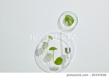 Gotu kula decorated in petri dish and transparent podium with blank space in laboratory background for plants advertising , top view 90345696