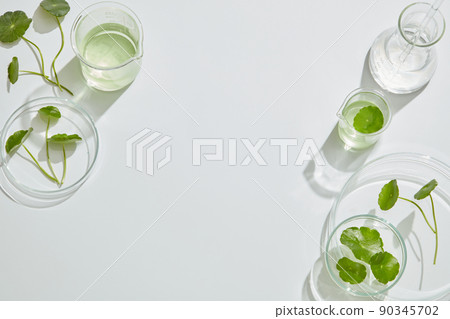Gotu kula decorated in petri dish and transparent podium with blank space in laboratory background for plants advertising , top view 90345702