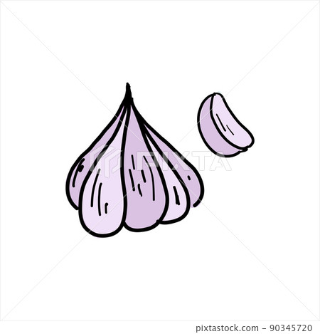 Garlic. Colored simple doodle. Vector clipart, isolated on white Garlic. Colored simple doodle. Vector clipart, isolated on white 90345720