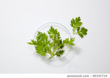 beaker, lab, scientist 90345724