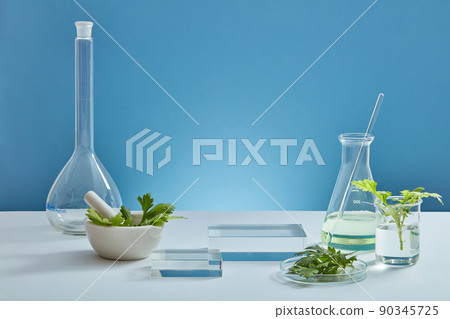 Mugwort decorated with transparent podium and beaker test tube in blue background with blank space for mugwort experiment advertising 90345725