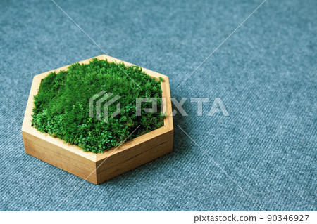 Stabilized moss in a hexagonal wooden box. Eco-friendly interior detail. Stabilized moss in a hexagonal wooden box. Eco-friendly interior detail. 90346927
