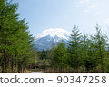 Mount Fuji  90347258