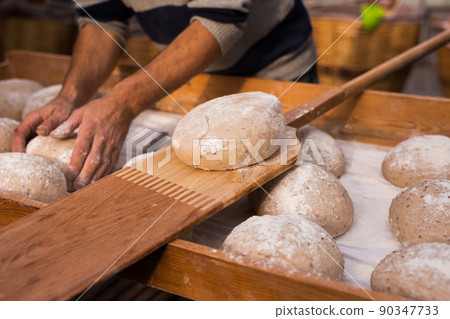 yeast dough in the form of loaves waiting to be cooked 90347733