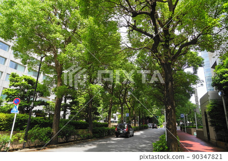 1868 年 6 月港區國際新赤坂大廈-東西大廈之間的路邊樹 90347821