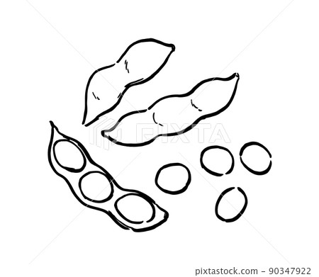 Simple illustration line drawing edamame - Stock Illustration [90347922 ...