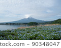 Mount Fuji  90348047