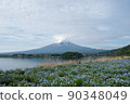 Mount Fuji  90348049