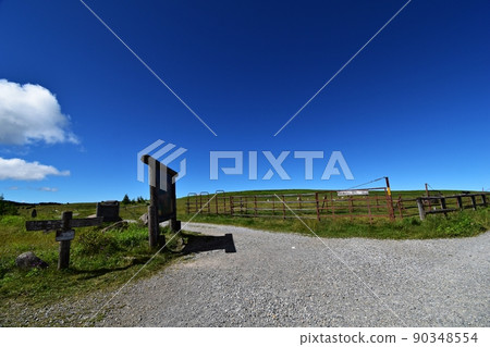 Branch of salt field: Utsukushigahara plateau in summer Branch of salt field: Utsukushigahara plateau in summer 90348554