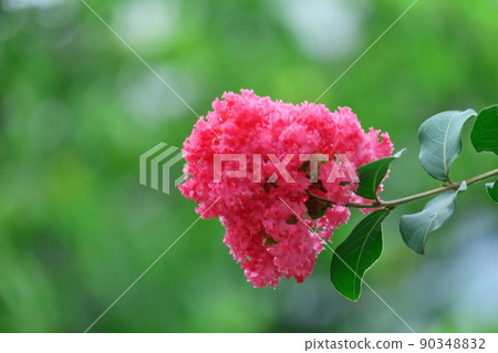 盛夏閃耀在蔚藍的天空 90348832