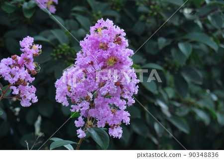 盛夏閃耀在蔚藍的天空 盛夏閃耀在蔚藍的天空 90348836