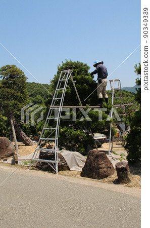 Landscaping craftsman pruning 90349389