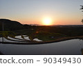 Terraced rice fields at dusk 90349430