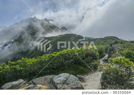 Nishihotakadake seen from the ridgeline of the Japanese Alps, the fresh green Northern Alps 90350084