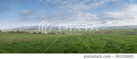 Agricultural plowed fields against the backdrop of a mountain range and a blue sky with white clouds. 90350895