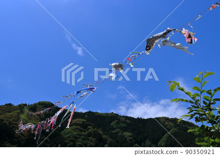 Dancing carp streamer (Koinobori Park, Shimanto Town, Kochi Prefecture) 90350921