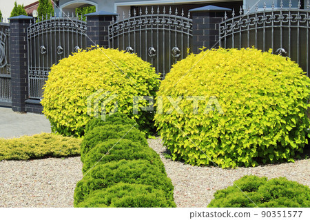 neat fence and bush decoration of the private sector street neat fence and bush decoration of the private sector street 90351577