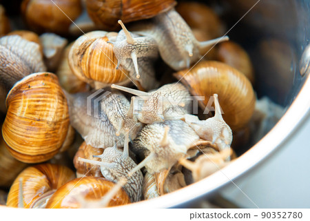 Many snails in pan 90352780