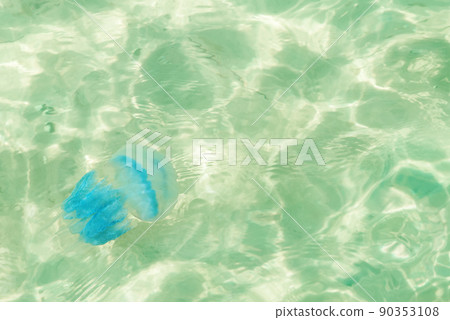Blue jellyfish in the water 90353108