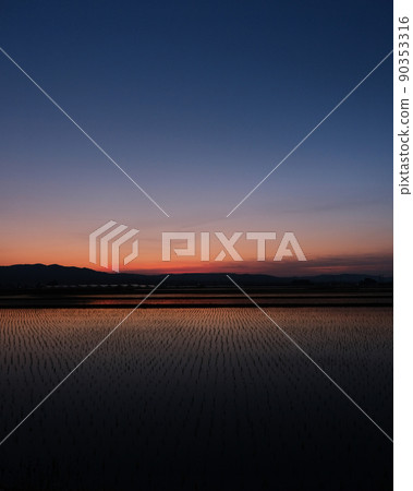 Magic hour at the end of rice planting Magic hour at the end of rice planting 90353316