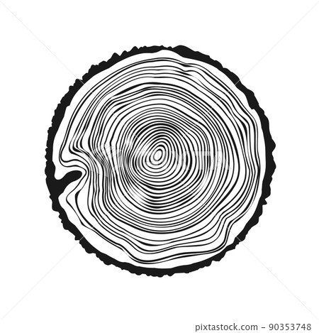 Round tree trunk cut, sawn pine or oak slice. Saw cut timber, wood. Wooden texture with tree rings. Hand drawn sketch. Vector illustration 90353748